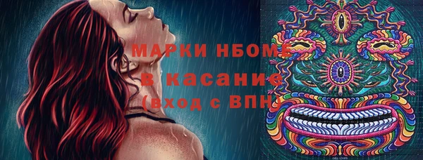твердый Богородск