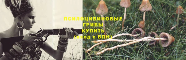кокаин Богданович