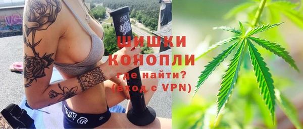 твердый Богородск
