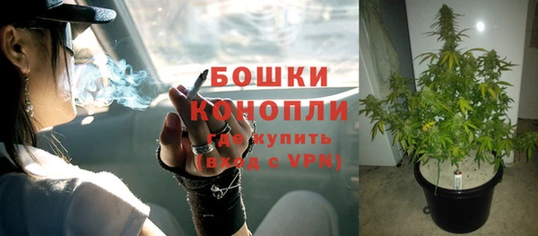 твердый Богородск